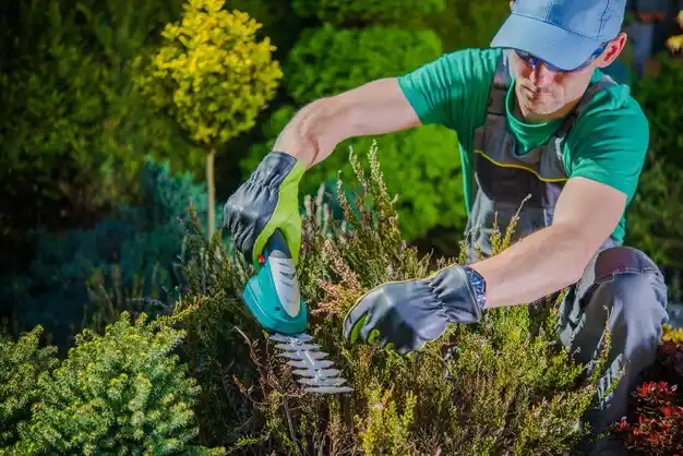 landscaping services Irondale